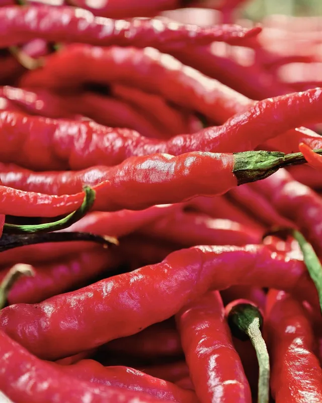 De Cayenne